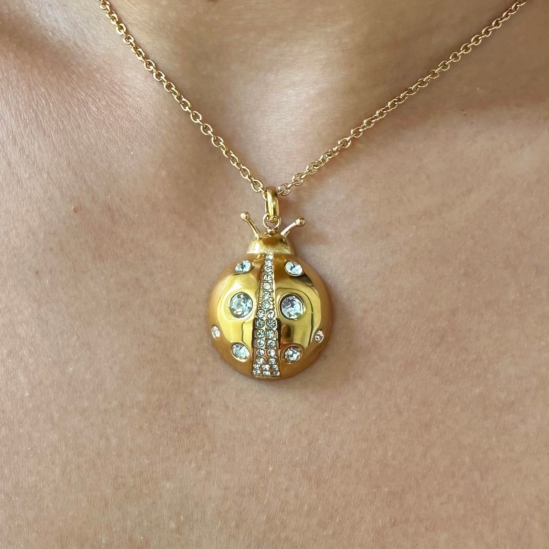 Lady Bug Necklace