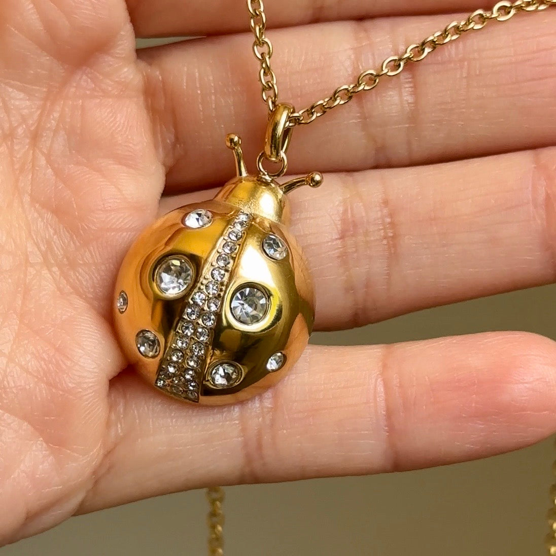 Lady Bug Necklace