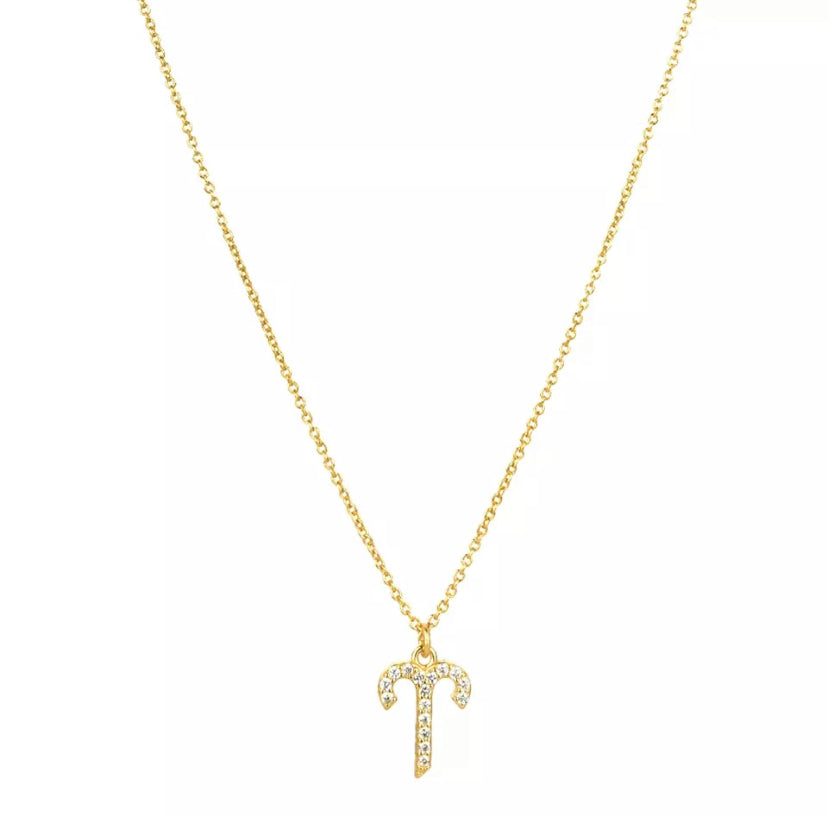 Pavé Zodiac Necklace